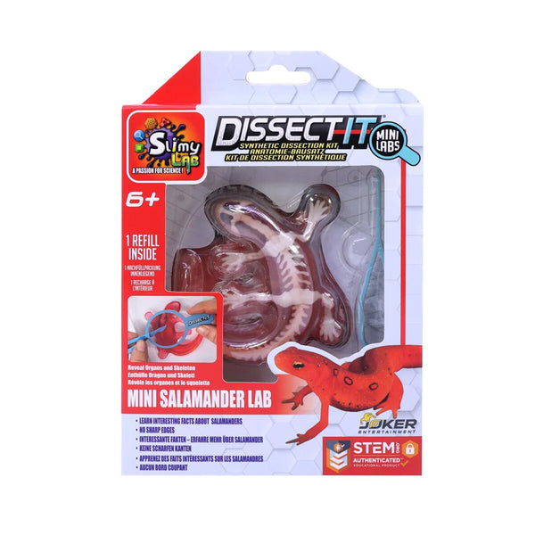 Dissect-it Sæt med Salamander