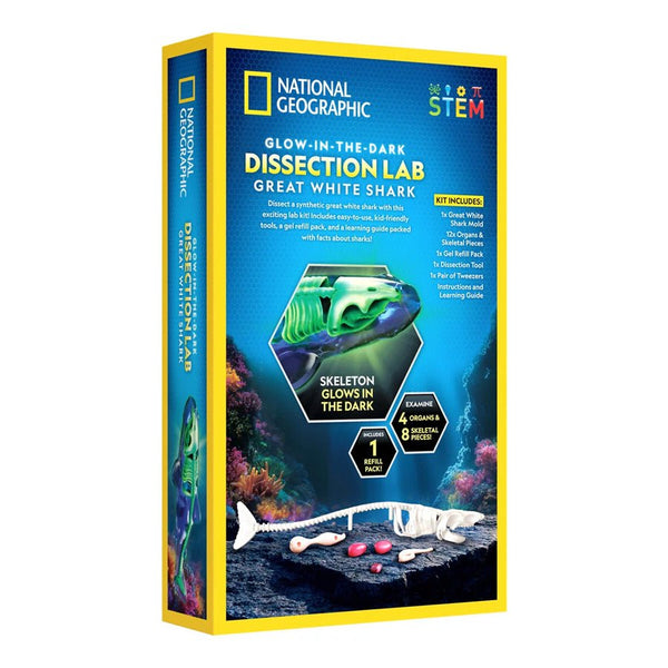 Dissektions Lab med Haj