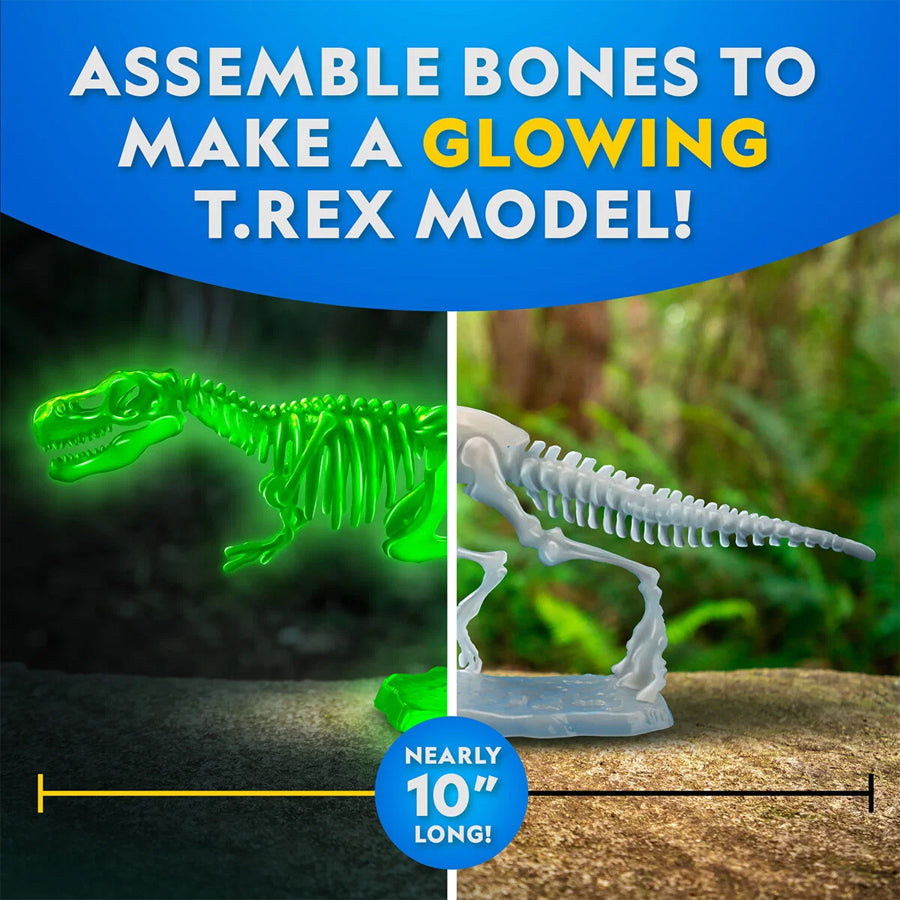 Dissektions Lab med T-Rex