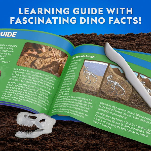 Dissektions Lab med T-Rex