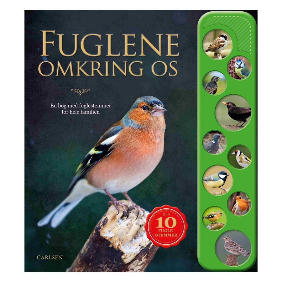 Fuglene Omkring Os