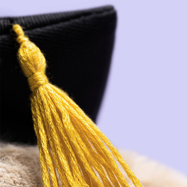 Jellycat Bashful Kanin Dimmisions Outfit