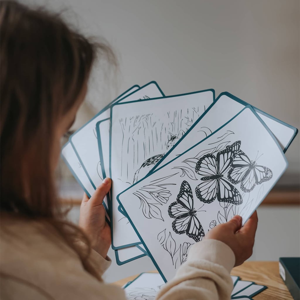 Kidydraw Tegnetavle Dyr fra Kidywolf