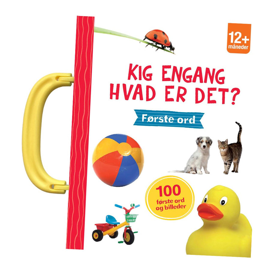 Kig Engang - Hvad Er Det? Første Ord