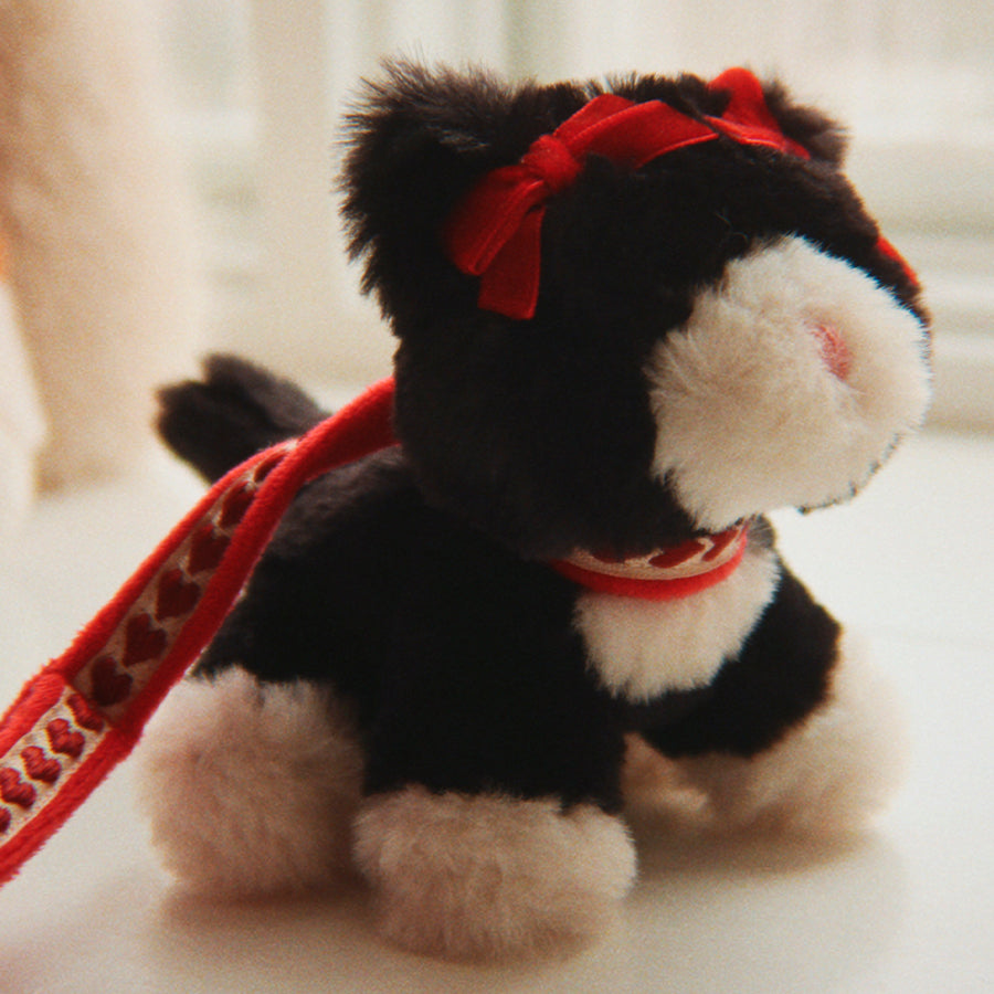 Black Beauty Kattekilling