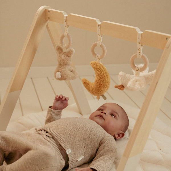 Little Dutch Babygym Newborn
