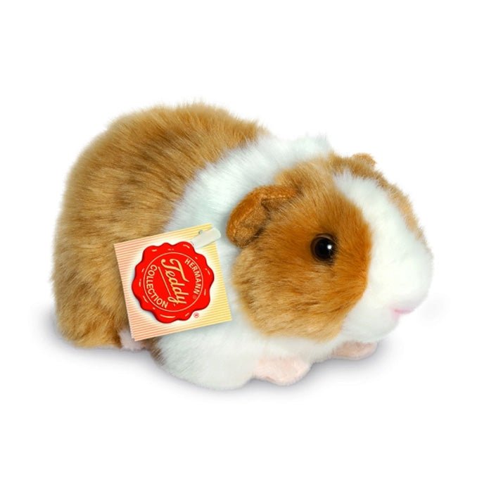 Marsvin Gylden og Hvid (20 cm)