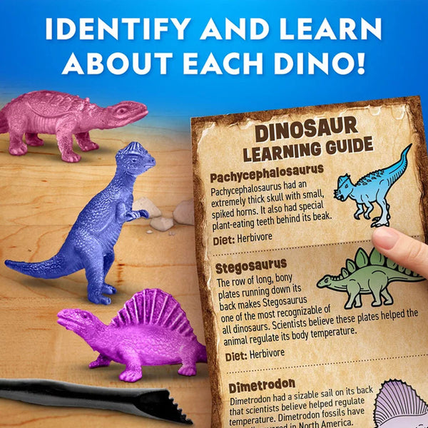 Mini Udgravningskit med Dinosaur