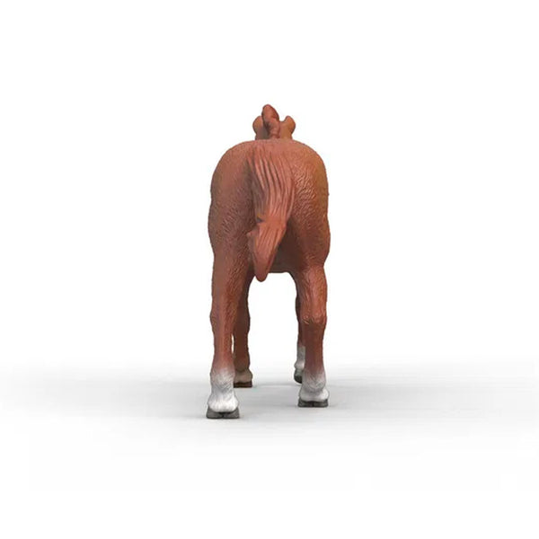 Engelsk Fuldblods Hingst