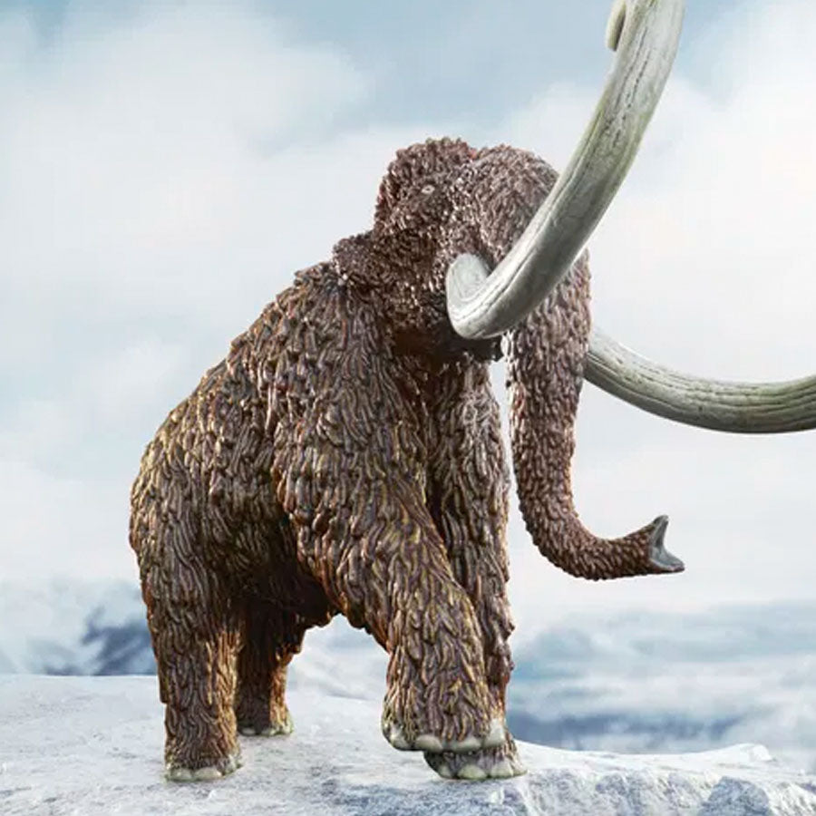 Mammut