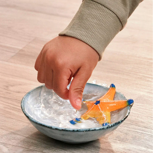 Schleich Søstjerne med Farveskift