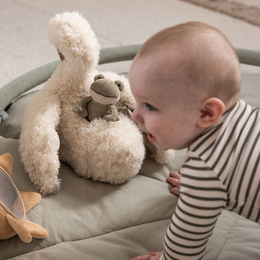 Sebra Aktivitets-gemmelegetøj, Svane