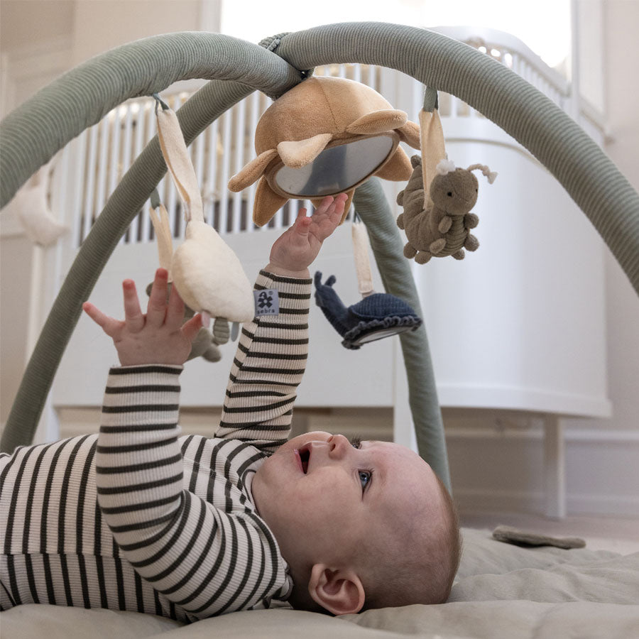 Sebra Aktivitetslegetøj, 3 Stk Frø-Bi-Snegl