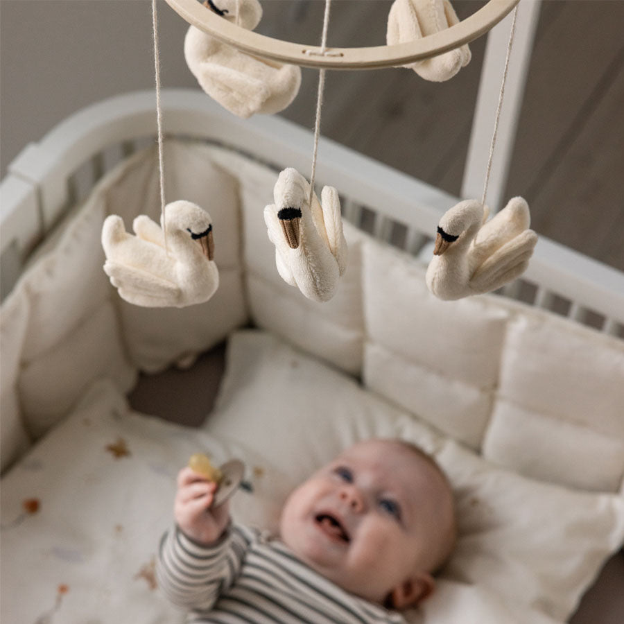 Sebra Baby Uro, Svane