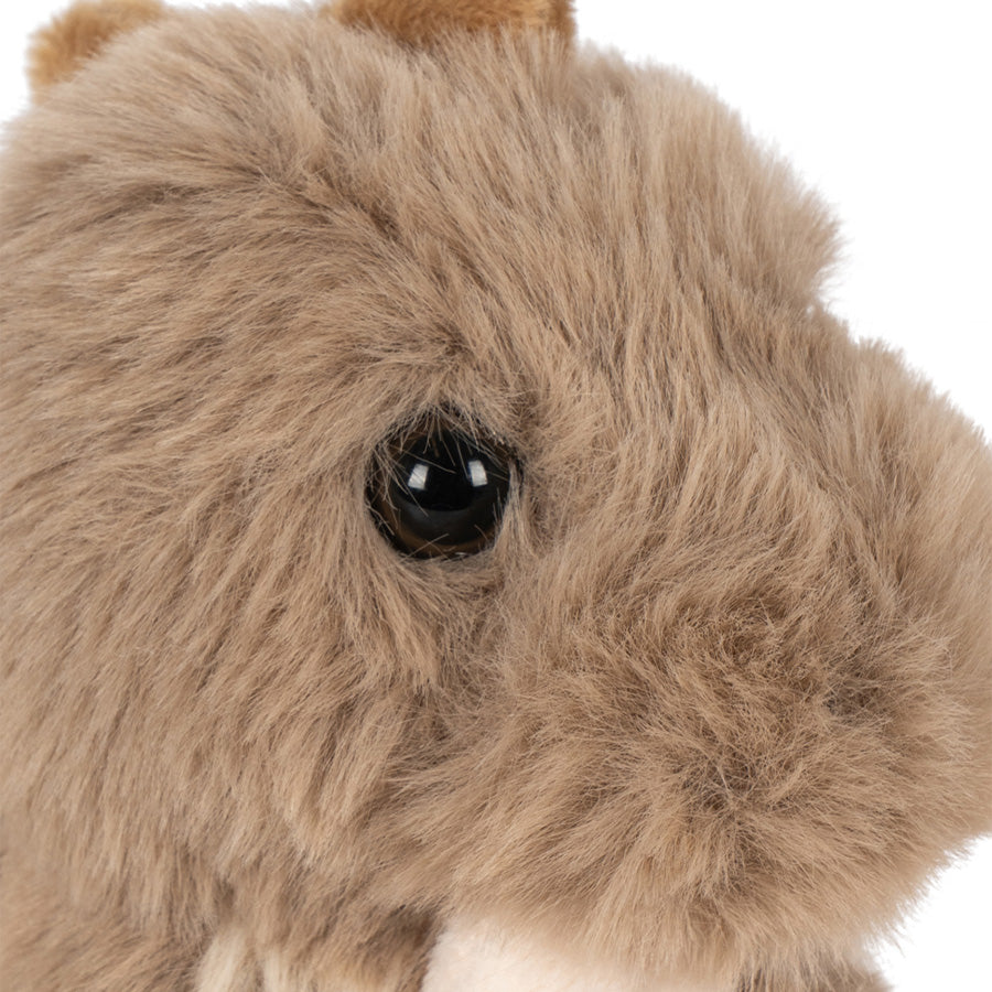 Sleepy Animals Nusseklud med Drage