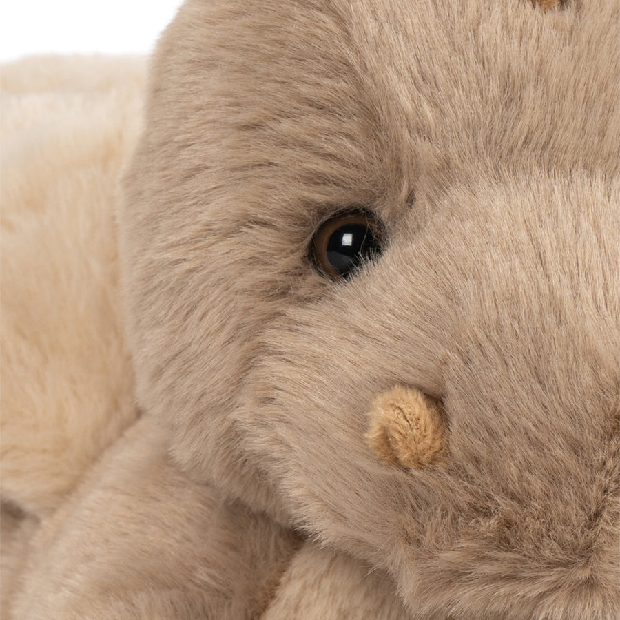 Teddy Drage