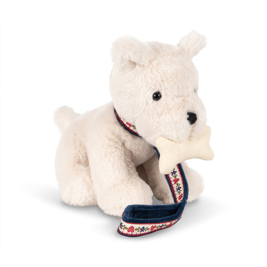 Terry Hundehvalp i Coeur Colore
