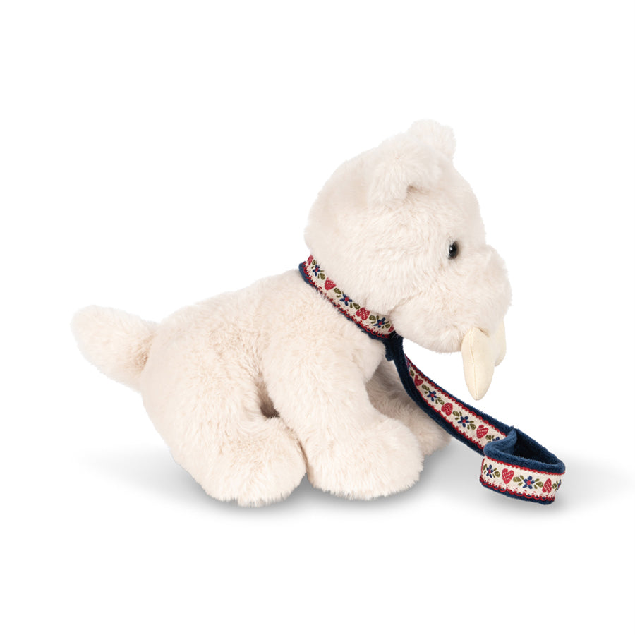 Terry Hundehvalp i Coeur Colore