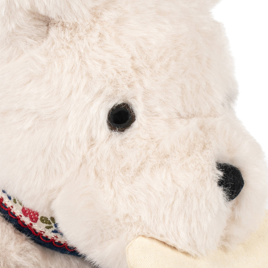 Terry Hundehvalp i Coeur Colore