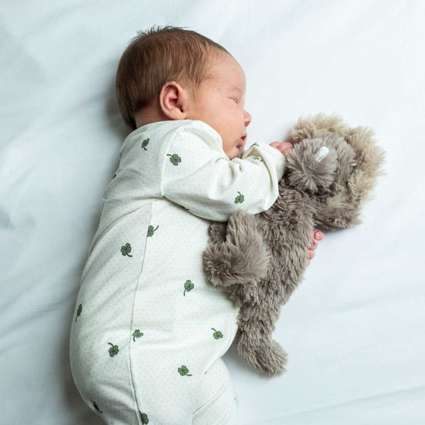 That's Mine Houston Heavy Teddy, Mini - Dino