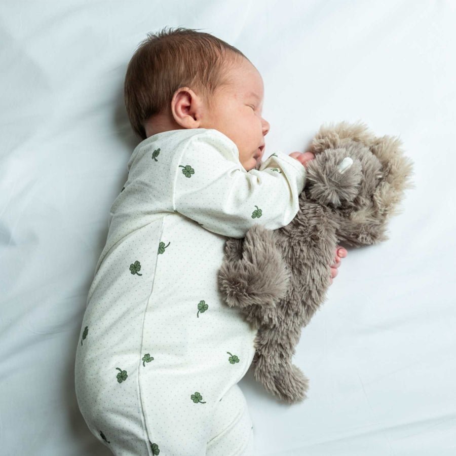 That's Mine Houston Heavy Teddy, Mini - Dino