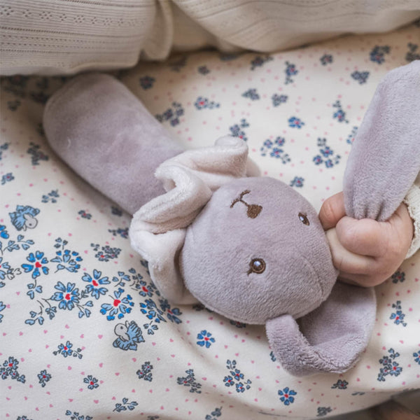 Thats mine Ethan rangle, Kanin